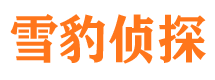 汉台侦探公司